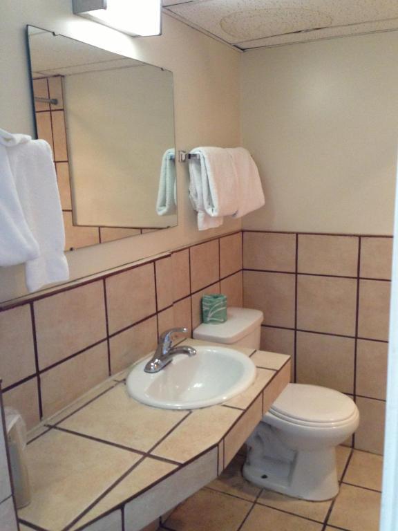 Bel Aire Motel Missoula Rom bilde